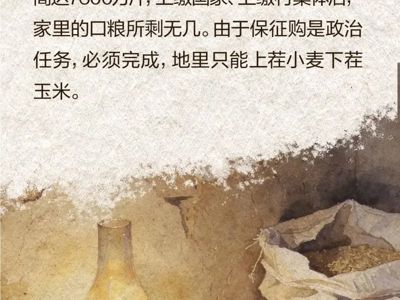 在正定，习近平赴村调研解决老百姓的吃饭问题