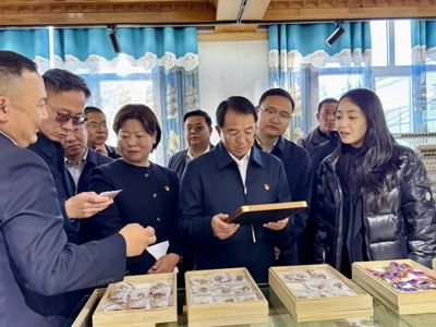 【“十化”党建进行时】互学互鉴拓思路 凝心聚力抓党建——贵南县开展“十化”党建现场观摩学习活动